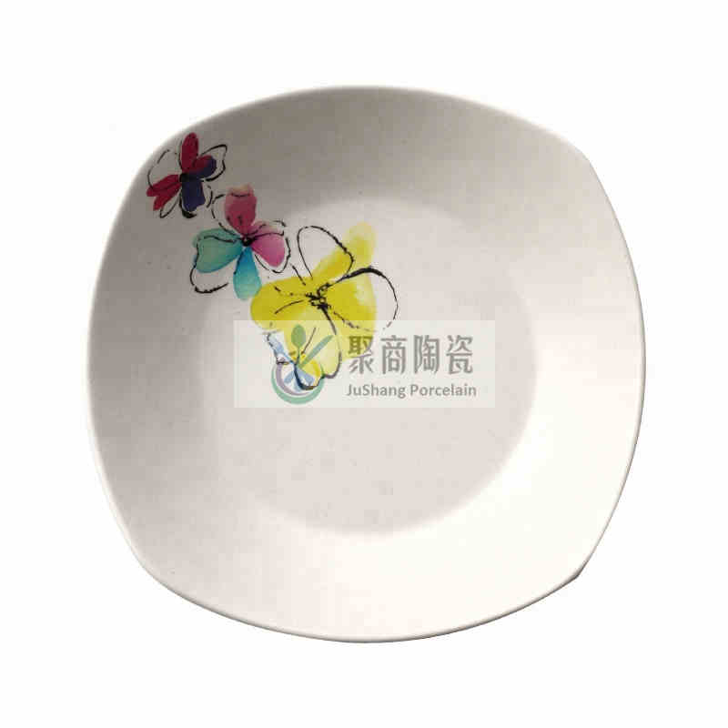 ceramic tableware  porcelain dinnerware